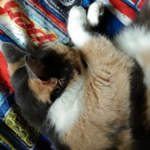 Meet your Posher, Joanie! - Picture 5 of 16